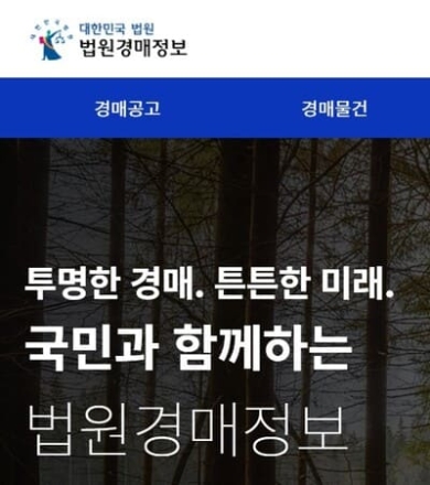 초보자를 위한 부동산 경매 물건 검색 가이드